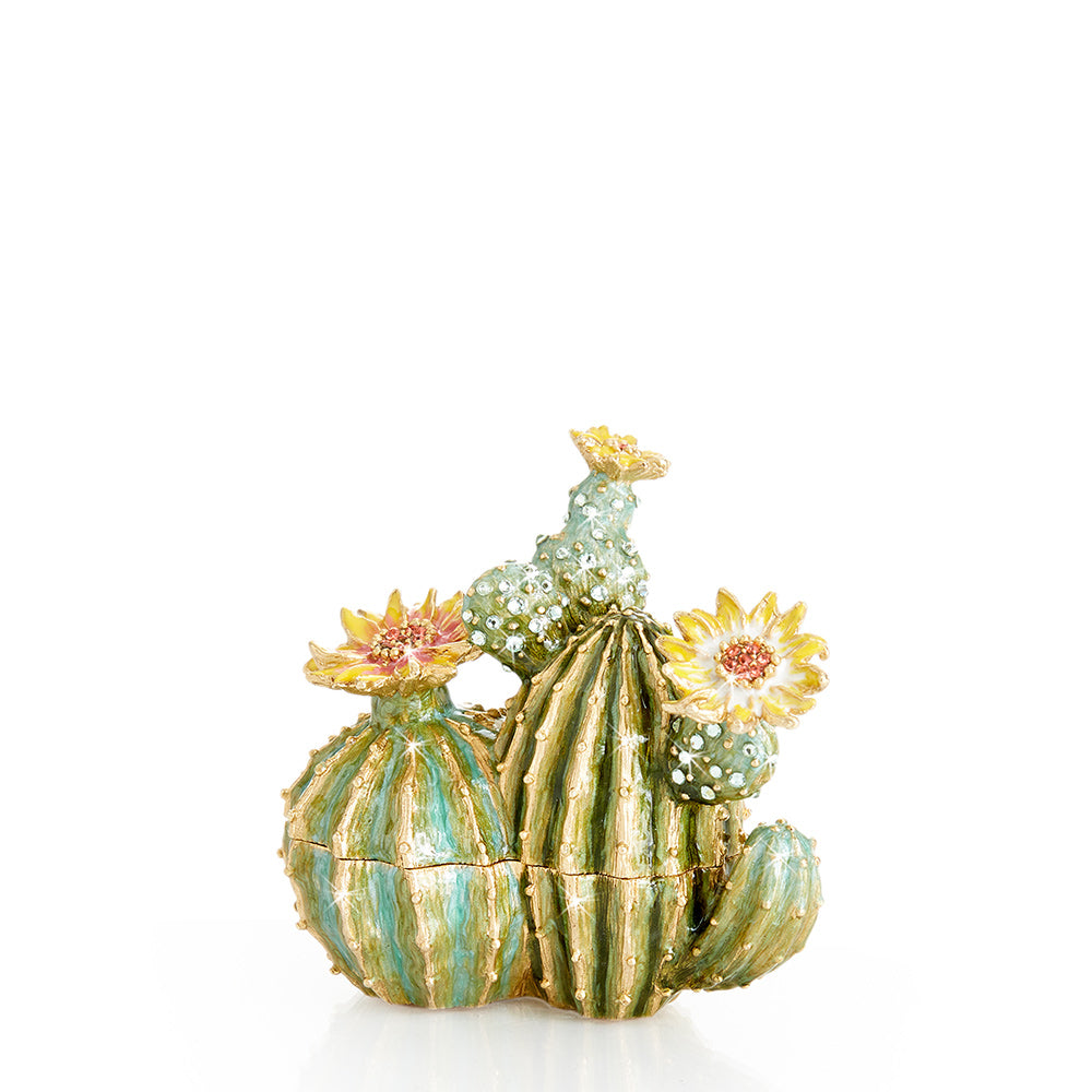 spike succulents Jay Strongwater Cactus Box