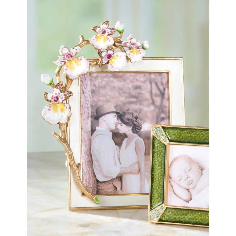 Jay Strongwater Picture frame buy