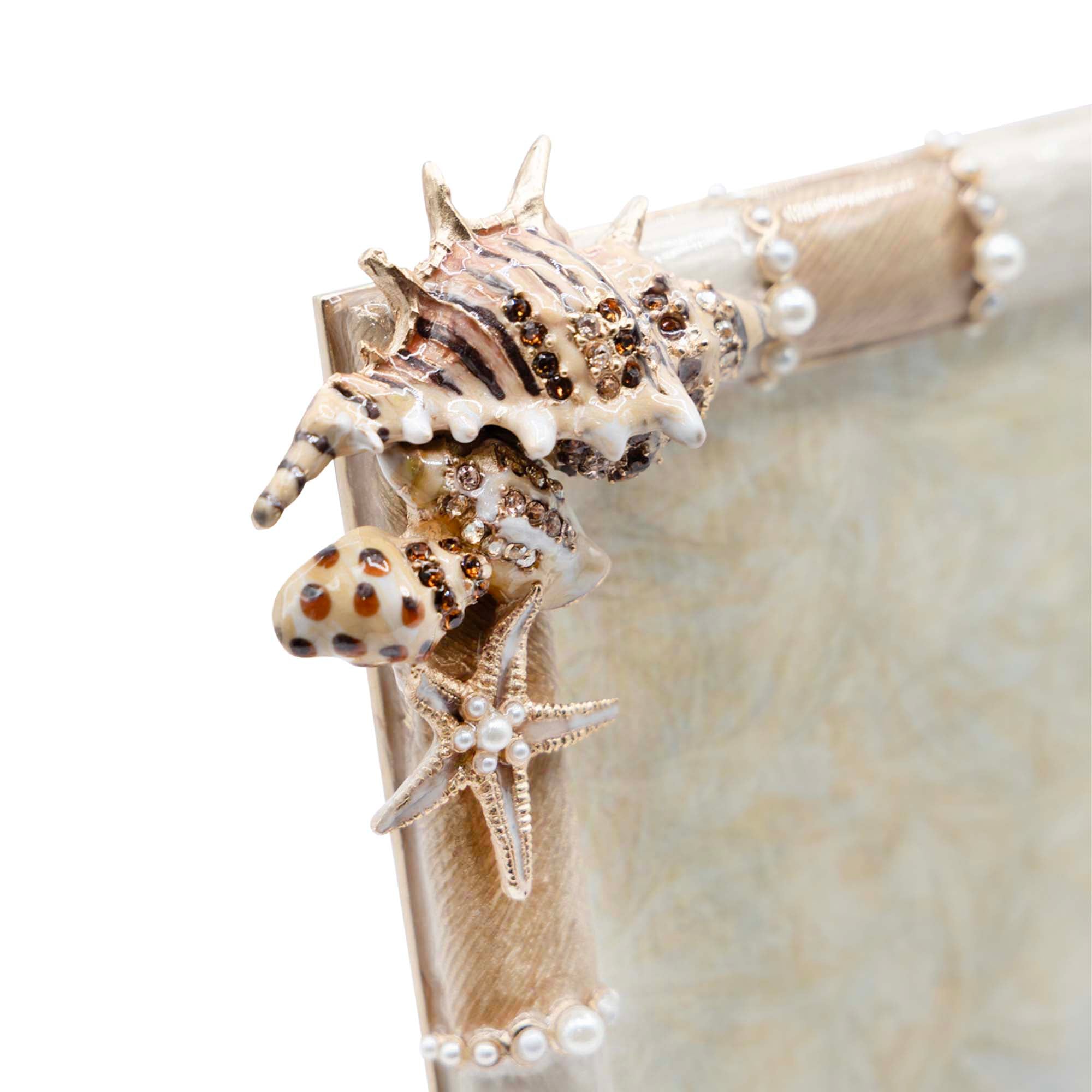Dune Seashell 5" x 7" Frame